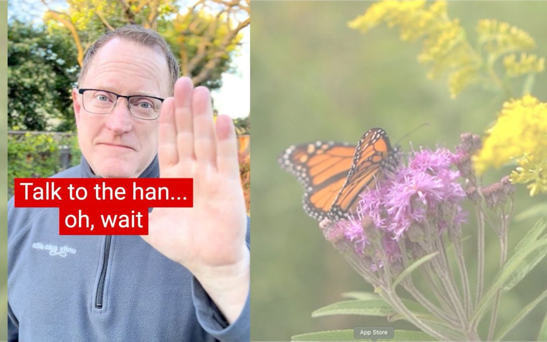 I Release Resistance | 40 Days of Letting Go – Lent 2025