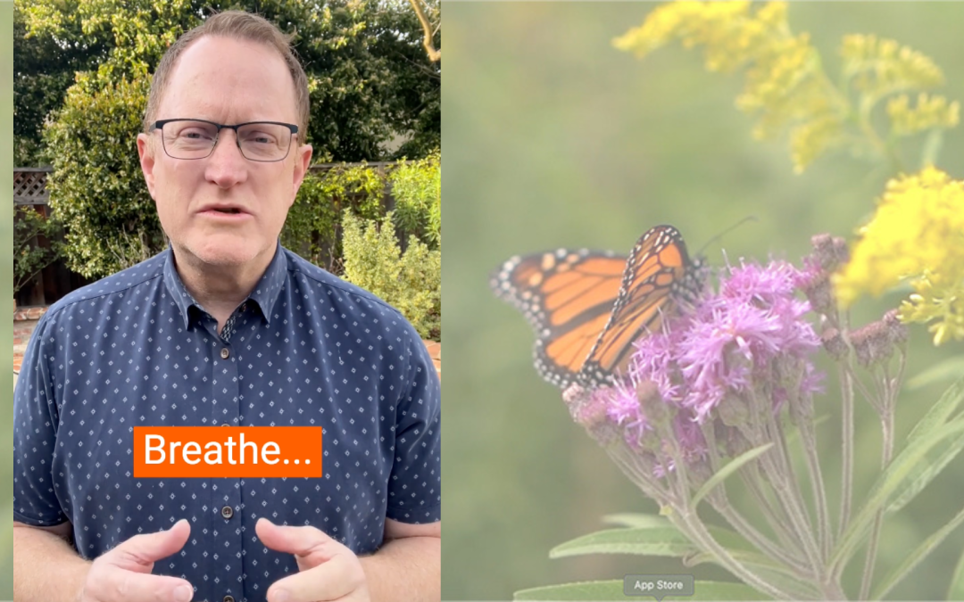 I Release Anxiety | 40 Days of Letting Go – Lent 2025