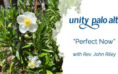 “Perfect Now”with Rev. John Riley