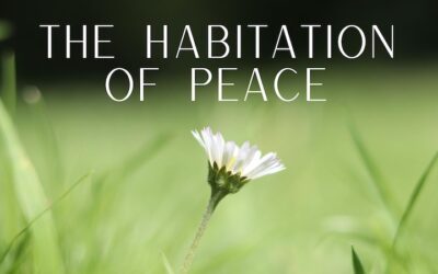 The Habitation of Peacewith Casey Wicker, LUT
