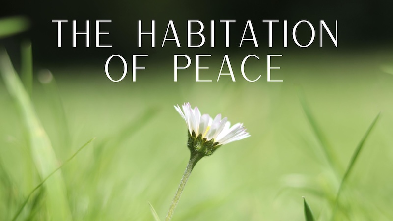 The Habitation of Peacewith Casey Wicker, LUT