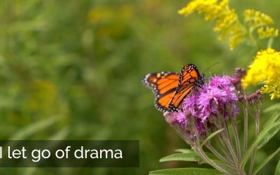 I Let Go of Drama | 40 Days of Letting Go – Lent 2024