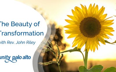 The Beauty of Transformationwith Rev. John Riley