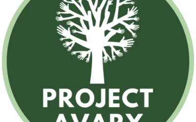 Project Avary