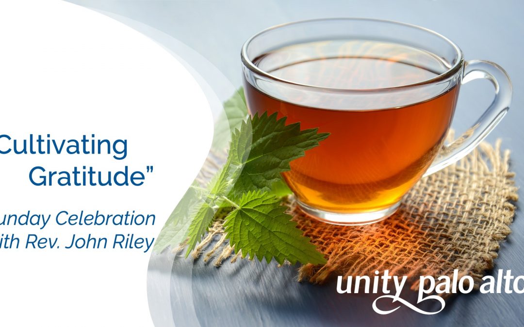 Cultivating Gratitude with Rev. John Riley