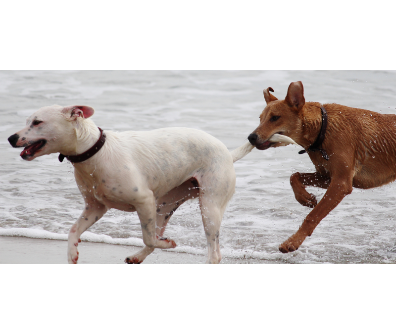 Discipline?! with Rev. John Riley