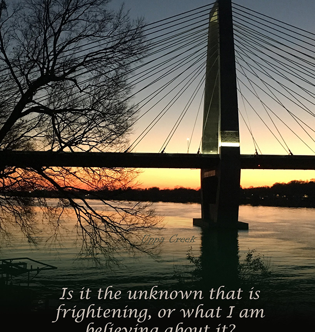 Bridge Building Practices with Rev. Dr. Martha Creek