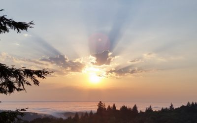 A Center of Spirit with Rev. John Riley