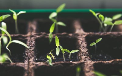 Seeds Of Intention with Rev. John Riley