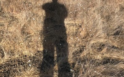 The Shadow Knows with Rev. John Riley