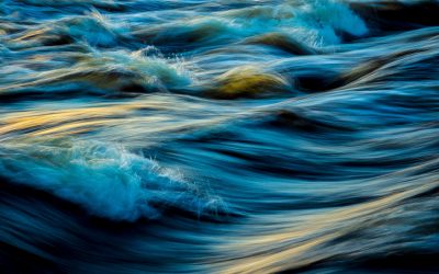 “Swimming Upstream”
