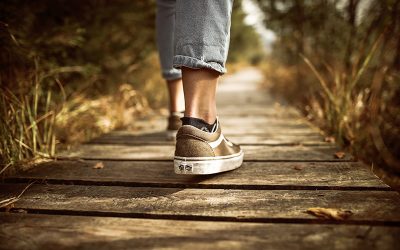 Walking in Wisdom with Rev. John Riley