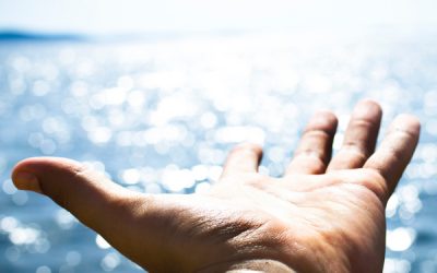 Awake, Alive, I Rejoice  with Rev. John Riley